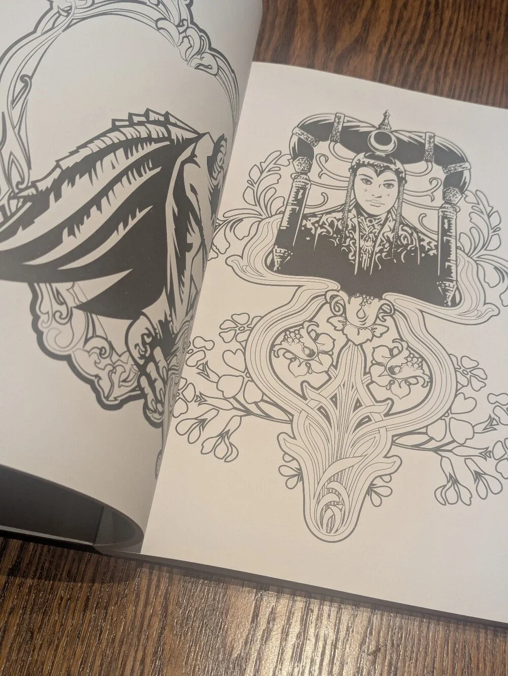 Star Wars Art of Coloring Adult Coloring Book